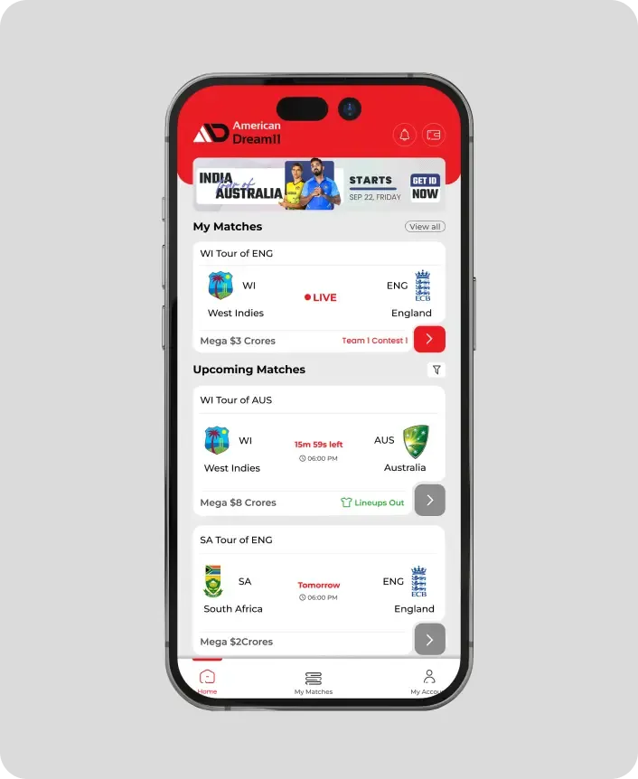 Fantasy Cricket API